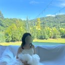 심심주택 | W3-3: 라본누벨 스튜디오 | 서울 주택형 스튜디오 웨딩촬영 후기📸📸