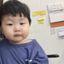 유스동물병원 이미지