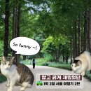 여주축산농협 | 짧고 굵게 재밌었던 1박 2일 서울 여행기 2편 (성수, 서울숲, 강남)