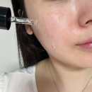 카멜리아 | 관리 미뤘다가 티 나는 나이…산다화 카멜리아 에센스·크림 후기