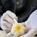 우이 | 하남 미사 화과자 순수화과 - 정규반 우이로우 후기