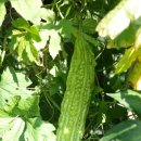 구름다리농장 이미지