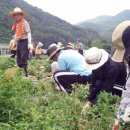 화암면사무소 이미지