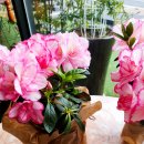 신원로1 이미지