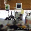 수서동물병원 이미지