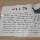 원조할매집 이미지