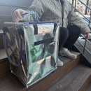 원투식품 | 쇼핑의 질이 달라지는 한 끗 차이, 제니 공항 가방 스타일로 완성하는 롤링카트