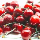 체리 이미지