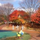 상희공원 이미지