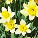 수선화모텔 이미지