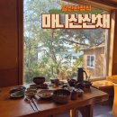 환웅 | 몸이 먼저 반응하는 건강한 밥상, 마니산산채 일산점 환웅한상차림 후기