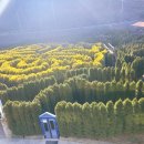 덕수농원 이미지