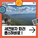 우리농장1 | 뉴사우스 웨일즈 콥스하버, 세컨비자 따러 블루베리 농장간 후기 1탄 농장 찾는 방법
