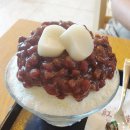 다케다야 | 부산 광안리 생활의 달인 우동 맛집 다케다야 후기✅