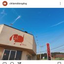 씨유 기장칠암신평리점 | 부산 기장 칠암항 감성 애견카페 추천 잔디에서 뛰뛰할 수 있는 : 칠암똥강아지
