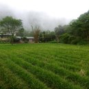 고산마을 이미지