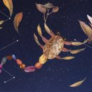 행운스카이.웨딩 이미지