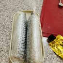 초밥친구김밥 | 11월: 시메사바 고등어봉초밥, 덮밥, 김밥, 감자빵 후기