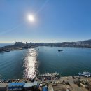 비데월드 이미지