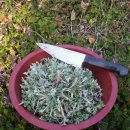 관우농장 이미지