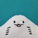 가오리 (소) / 깜장 연탄구이