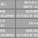 SK브로드밴드;인터넷13,000원+집전화1,000원+디지털TV6,000원/월20,000원 이미지