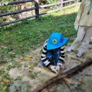 삼운사유치원 이미지