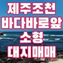 센텀제주영어교육도시공인중개사사무소 이미지
