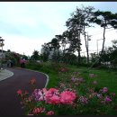 배산체육공원 축구장 이미지