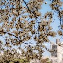 경희부동산중개 이미지