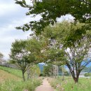 반구정습지 이미지