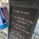 에스아쿠아앤카페 | 다양한 수입구피가 있는 부천수족관 &#34;에스아쿠아 앤 카페&#34;