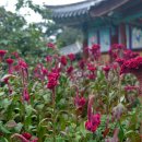 부여목장 이미지