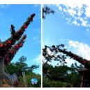 동피랑사람들 이미지