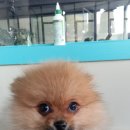 나이스가위 이미지