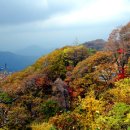 전국 단풍 여행 명소 5선! - 설악산, 오대산, 덕유산, 속리산, 지리산 이미지