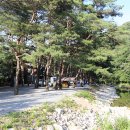 솔밭캠프장 이미지