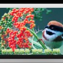 학산서원터 이미지