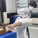 단국대 본태권도 이미지