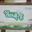 코지목장 이미지