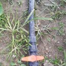 안단테모텔 이미지