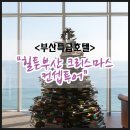 부산특급호텔 힐튼부산 크리스마스 컨셉투어 후기