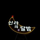 신라포차 | 경주 감포 신라의달밤 포차 안압지 대하구이 해물라면 즐긴 날