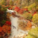 (주)대원고속관광