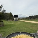 무지개세탁소 | 뉴질랜드 워홀+115-118 로드트립5일차 웰링턴에서 4일! 다시 돌아온 Helpx 배타고 남섬으로 이동