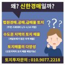 신한경매 세종시 전동면 심중리 토지투자 매물 이미지