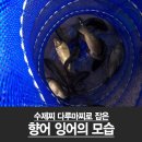 다잡공방