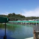 배다리낚시터 이미지