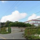 충남도료
