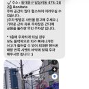 보니또따 네이버블로그